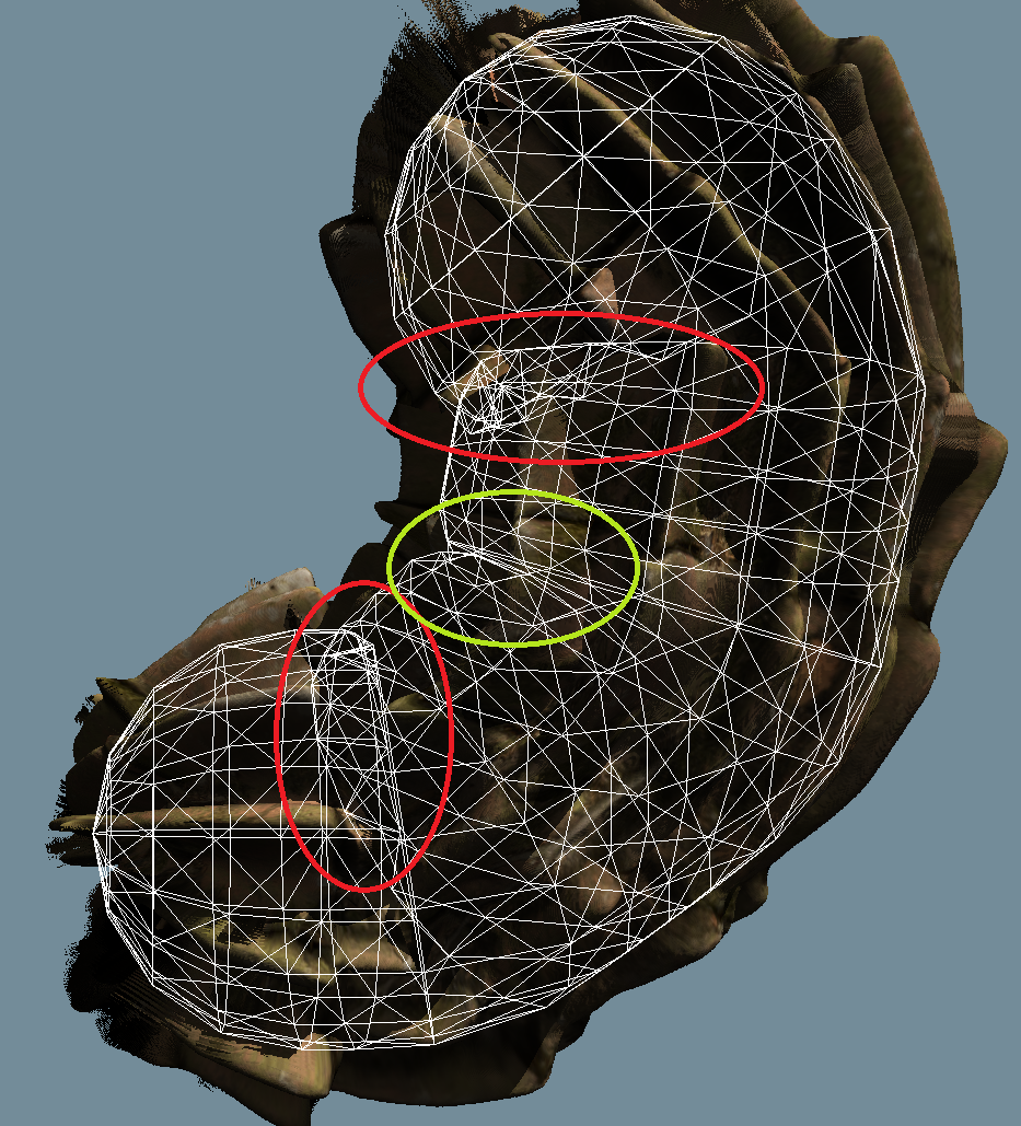 Examples of control mesh compression (green) and self-intersection (red)